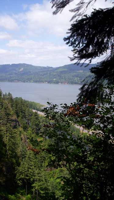 View from hiking trail