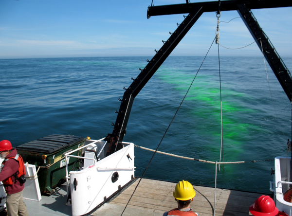 Laying the dye ring