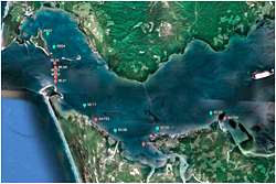 Baseline sampling sites