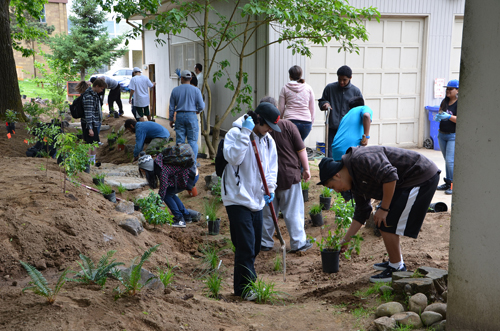 NAYA students plant bioswale