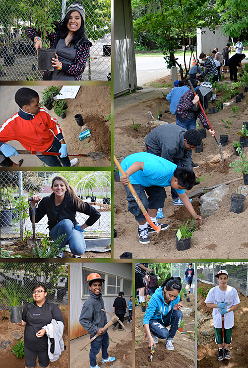 NAYA students build a bioswale