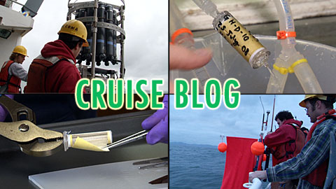 Cruise Blog