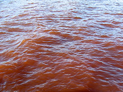 Red Water