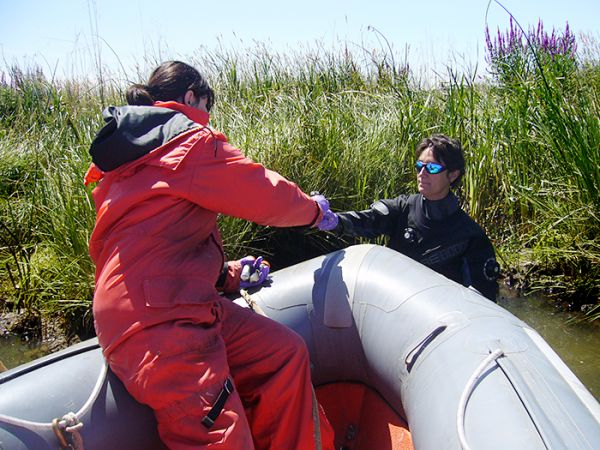 Sediment Sampling